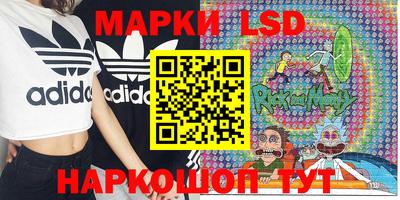 индика Новокубанск