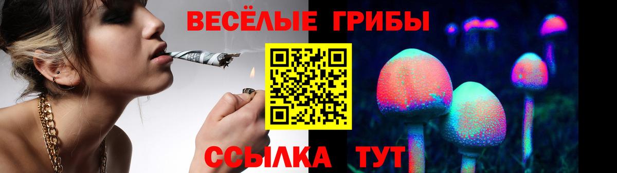 Галлюциногенные грибы мицелий Рыбинск